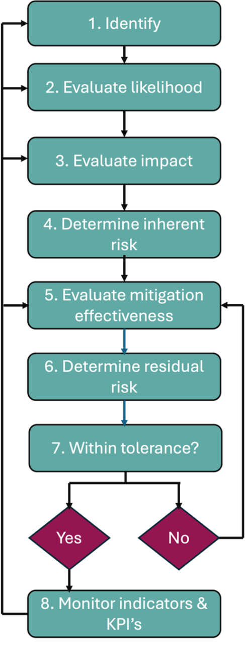 Figure 1: Summary of risk assessment process